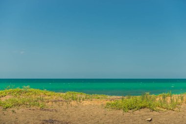 Kumsal ve sakin deniz manzarası güneşli bir günde