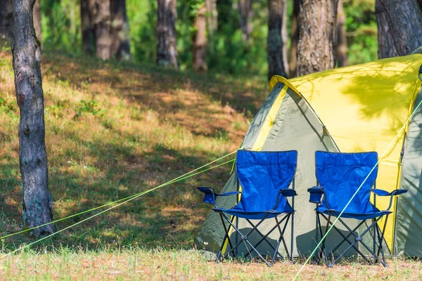 Twee Fauteuils Buurt Van Een Kampeertent Een Dennenbos Een Zonnige — Stockfoto