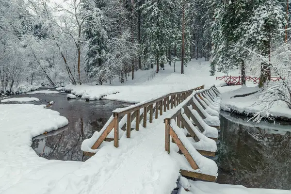 Деревянный Мост Через Реку Зимний Снежный Лес Красивый Пейзаж — стоковое фото
