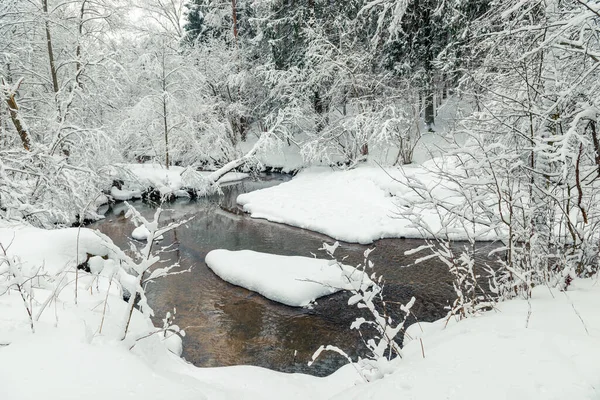 Снежный Зимний Лес Текущая Река Живописный Пейзаж Зимний День Лесу — стоковое фото