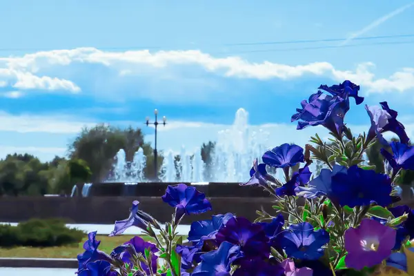 夏の日 ヴォルガ堤防はヤロスラヴルの真珠です アローの公園だ 噴水のジェットの背景にペチュニア — ストック写真