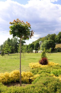 Yaroslavl Strelka 'sında parlak bir yaz günü. Yaroslavl' da Volga ve Kotorosl seti üzerinde güzel bir peyzaj.
