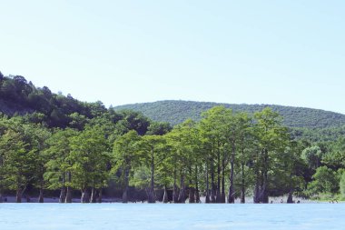 Sukko Gölü. Krasnodar bölgesi. Rusya. Görünümü benzersiz Selvi ve ormanlık Dağları eteklerinde. Parlak güneşli bir günde.