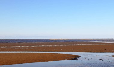 Severodvinsk 'teki Yagry adasında sonbahar günü. Beyaz deniz kıyısında. Deniz gelgiti. geniş gelgit bandı. Beyaz Deniz 'de alçak akıntıya sahip. Balık ağı. Dalgalar alçak; gelgit geniş; yansıma; deniz manzarası Beyaz Deniz 'de alçak gelgitler içerir. Balık ağı.