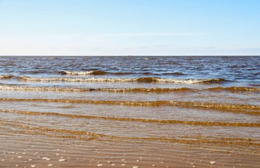 Severodvinsk 'teki Yagry adasında sonbahar günü. Beyaz deniz kıyısında. Deniz gelgiti. geniş gelgit bandı. Beyaz Deniz 'de alçak akıntıya sahip. Balık ağı. Dalgalar alçak; gelgit geniş; yansıma; deniz manzarası Beyaz Deniz 'de alçak gelgitler içerir. Balık ağı.