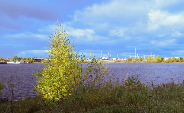 Arkhangelsk Sonbahar Günü Kuzey Dvina Nehri Üzerinde Solombala Karşısında Kıyı — Stok fotoğraf