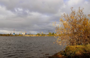 Arkhangelsk. Sonbahar günü Kuzey Dvina Nehri üzerinde Solombala karşısında. Altın Sonbahar yaprakları üzerinde kıyı willows. Bulutların arasından güneş ışınları