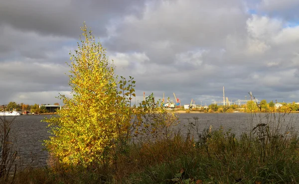 Archangelsk Herbsttag Ufer Der Nördlichen Dwina Gegenüber Solombala Goldenes Herbstlaub — Stockfoto