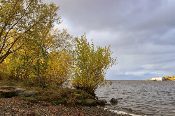 Archangelsk Höstdag Stranden Floden Norra Dvina Mittemot Solombala Gold Höst — Stockfoto