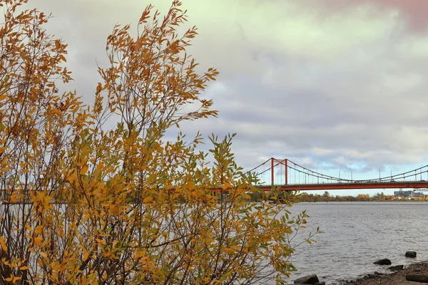 Archangelsk Höstdag Stranden Floden Norra Dvina Mittemot Solombala Gyllene Höstlöv — Stockfoto