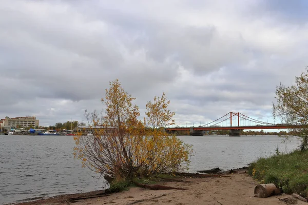 Archangelsk Höstdag Stranden Floden Norra Dvina Mittemot Solombala Gyllene Höstlöv — Stockfoto