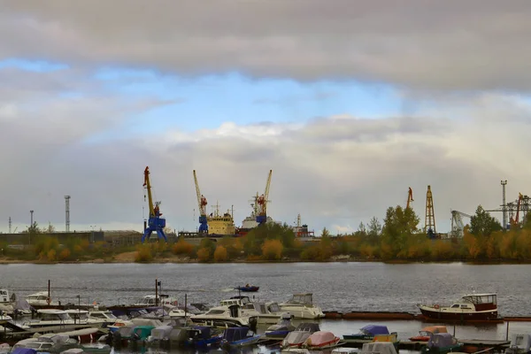 Arkhangelsk. Sonbahar günü Kuzey Dvina Nehri üzerinde Solombala karşısında. Kavak son yapraklarda. Düşen yapraklar yeşil çimenlerin üzerinde. ala. Kavak son yapraklarda.