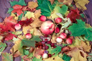 Sonbahar paleti. Meyve ve sonbahar yaprakları natürmort. Sonbahar ruh hali. Yaprağın