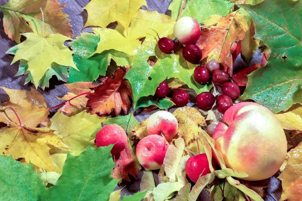 Palette Autumn Still Life Fruit Autumn Leaves Autumn Mood Dewdrop — Stock Photo, Image