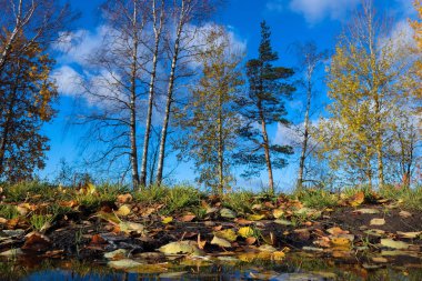 Sonbahar günü sanatoryum 