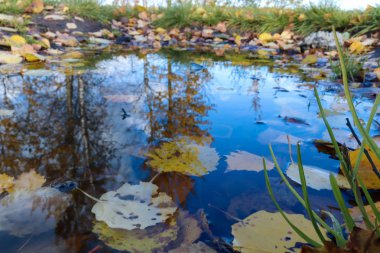 Sonbahar günü sanatoryum 