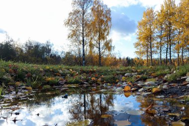 Sonbahar günü sanatoryum 