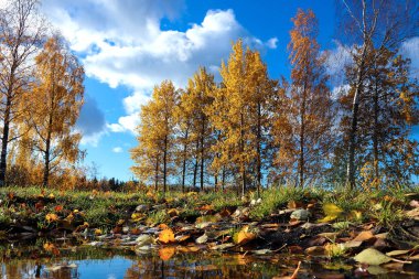 Sonbahar günü sanatoryum 