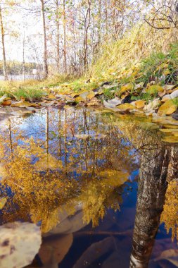 Sonbahar günü sanatoryum 