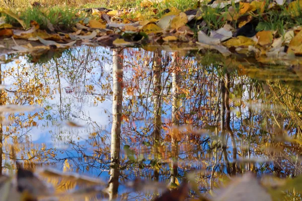 Sonbahar günü sanatoryum 