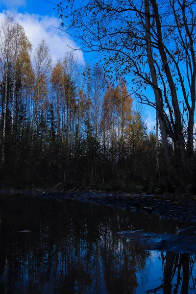 Autumn Day Vicinity Sanatorium Belomorye Arkhangelsk Region Shore Lake Smartie — Stock Photo, Image
