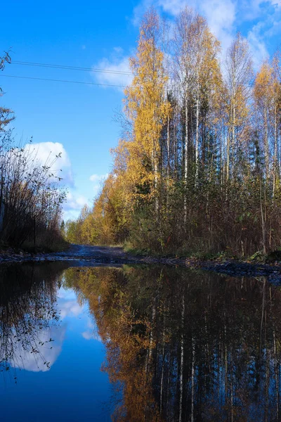 Día Otoño Las Inmediaciones Del Sanatorio Belomorye Arkhangelsk Región Orilla —  Fotos de Stock