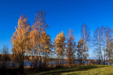 Sonbahar günü sanatoryum 