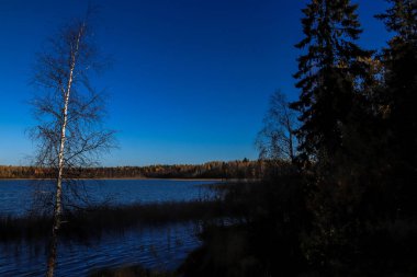 Sonbahar günü sanatoryum 