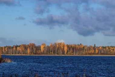 Sonbahar günü sanatoryum 