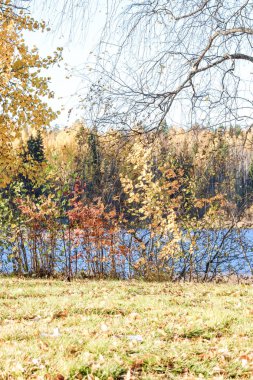 Sonbahar günü sanatoryum 