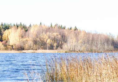 Sonbahar günü sanatoryum 