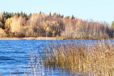 Sonbahar günü sanatoryum 