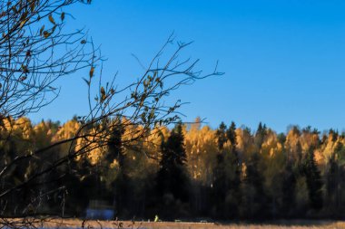 Sonbahar günü sanatoryum 