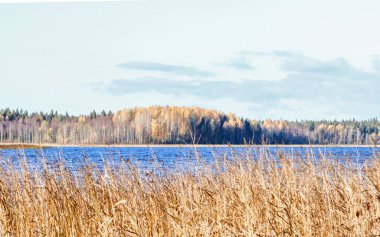 Sonbahar günü sanatoryum 