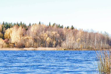 Sonbahar günü sanatoryum 