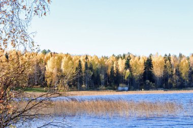 Sonbahar günü sanatoryum 