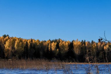 Sonbahar günü sanatoryum 