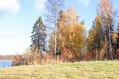 Sonbahar günü sanatoryum 