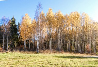 Sonbahar günü sanatoryum 