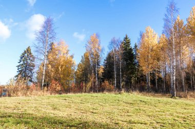 Sonbahar günü sanatoryum 