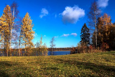 Sonbahar günü sanatoryum 