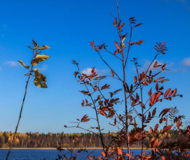 Sonbahar günü sanatoryum 