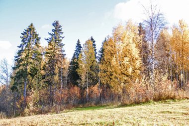 Sonbahar günü sanatoryum 