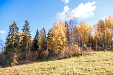 Sonbahar günü sanatoryum 