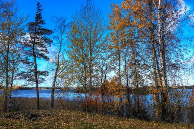 Sonbahar günü sanatoryum 