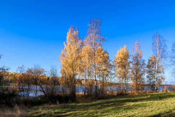 Podzimní Den Blízkosti Sanatoria Belomorye Archangelské Oblasti Břehu Jezera Smardie — Stock fotografie