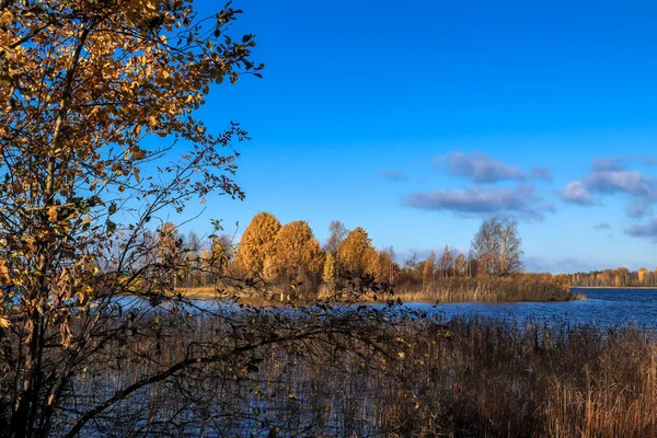 Dia Outono Nas Proximidades Sanatório Belomorye Região Arkhangelsk Margem Lago — Fotografia de Stock