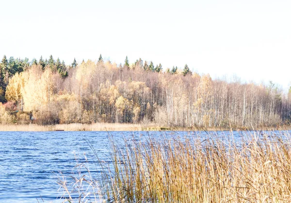 Sonbahar günü sanatoryum 