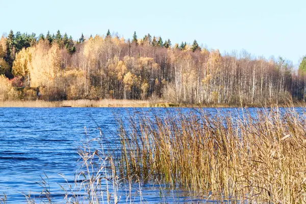 Sonbahar günü sanatoryum 