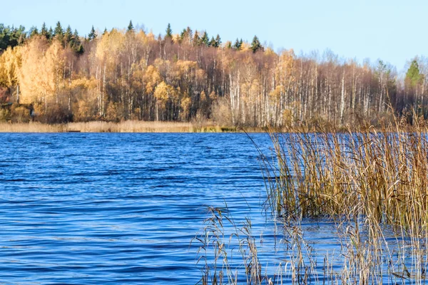 Sonbahar günü sanatoryum 